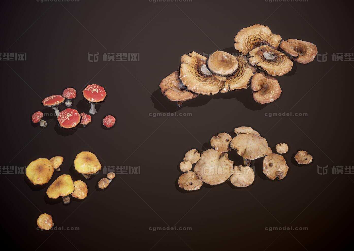 PBR 蘑菇模型-水果蔬菜模型库-FBX(.fbx)模型下载-cg模型网