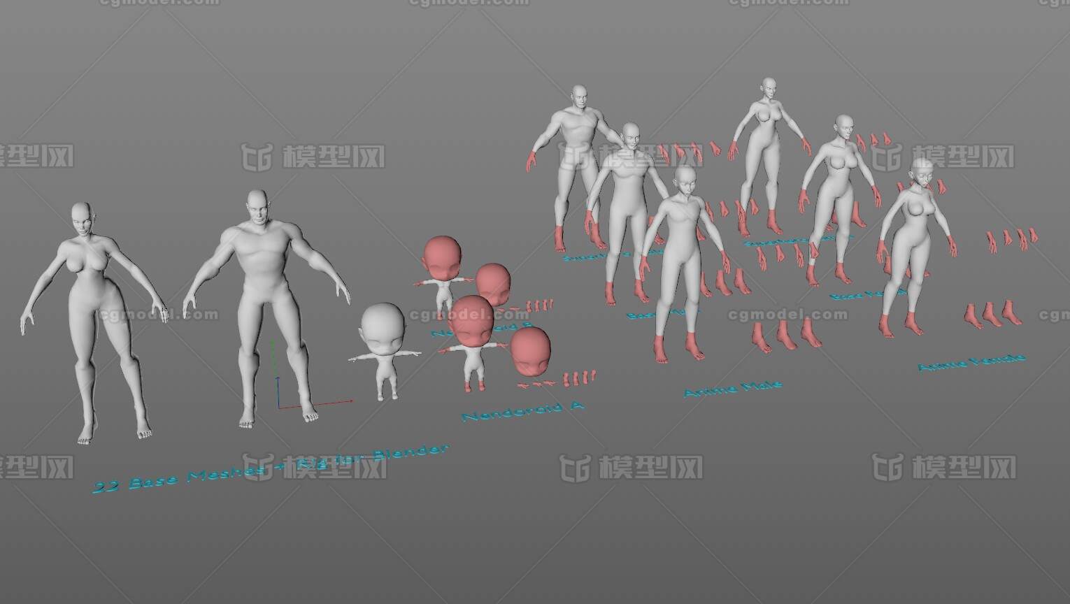 基础人物模型 基础人体模型模型-其他模型库-Cinema 4D(.c4d)模型下载-cg模型网