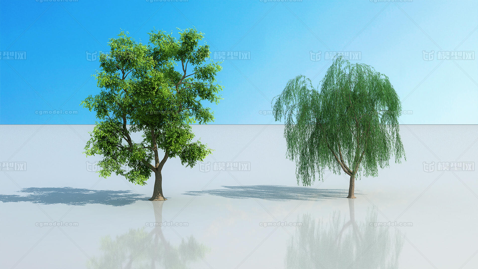 写实动态树 国槐模型-树木模型库-3ds Max(.max)模型下载-cg模型网
