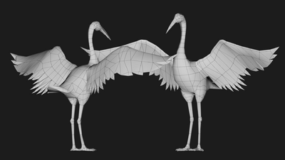 丹顶鹤 鹤鸟模型-飞禽模型库-Maya(.ma/.mb)模型下载-cg模型网