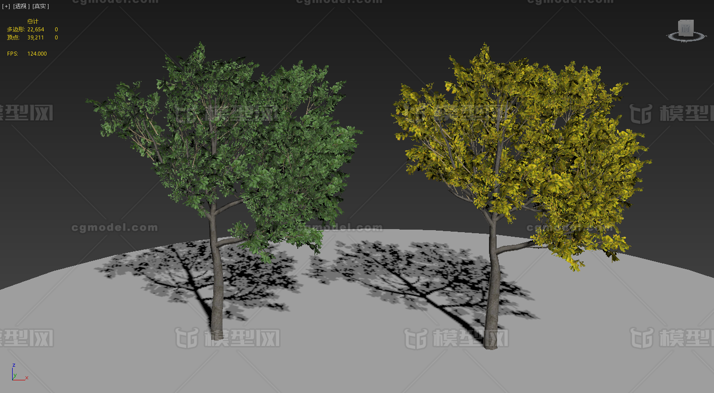 简模栾树 虚拟现实树木模型-树木模型库-3ds Max(.max)模型下载-cg模型网