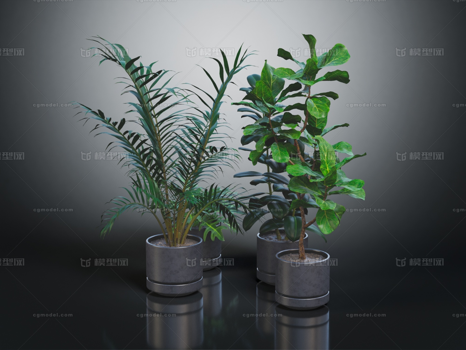 花卉 盆栽 室内植物 绿植 室内盆景 盆景 花 草 花草 野模型-家居装饰模型库-3ds Max(.max)模型下载-cg模型网