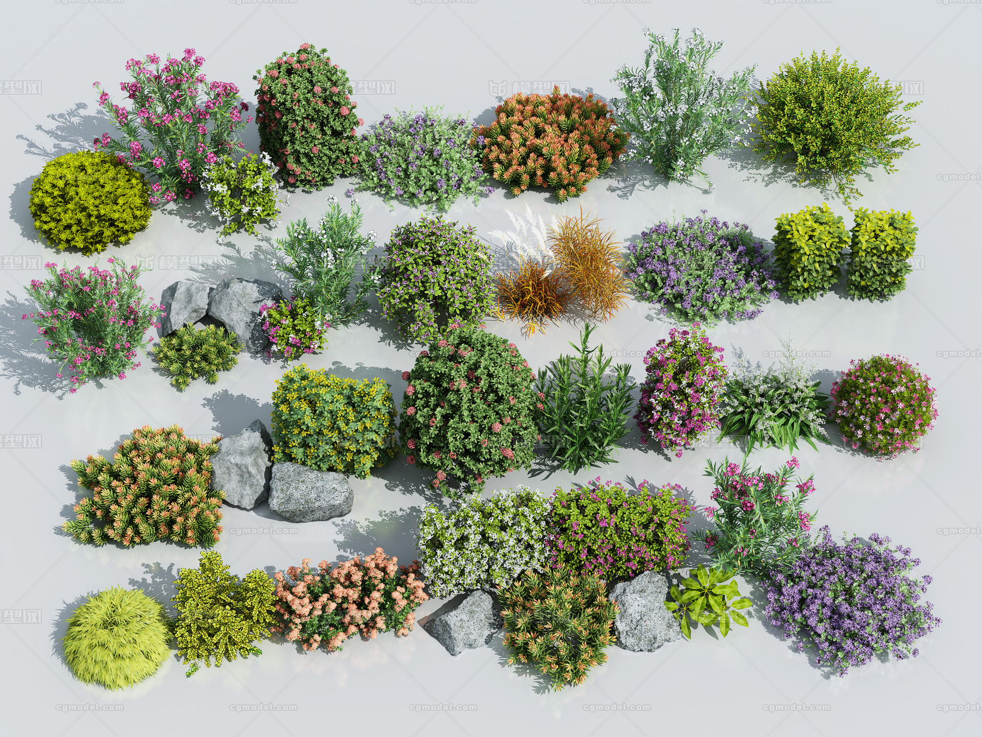花草灌木组合 花草模型-花卉模型库-3ds Max(.max)模型下载-cg模型网