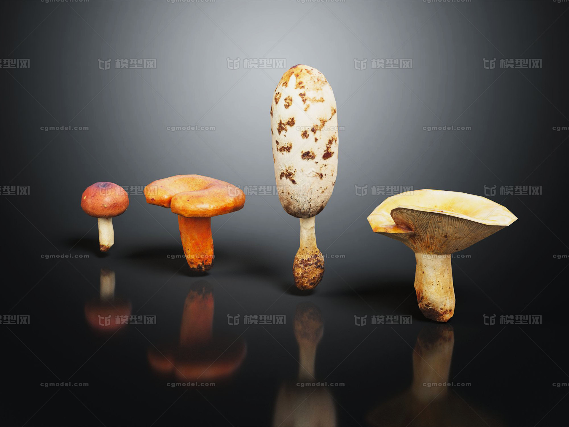 蘑菇 草菇模型-生鲜果蔬模型库-3ds Max(.max)模型下载-cg模型网