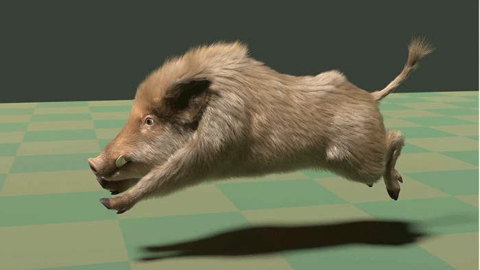 野猪 (动画)模型-哺乳模型库-Blender(.blend)模型下载-cg模型网