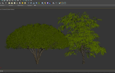 树叶特写 树枝特写模型-树木模型库-3ds Max(.max)模型下载-cg模型网