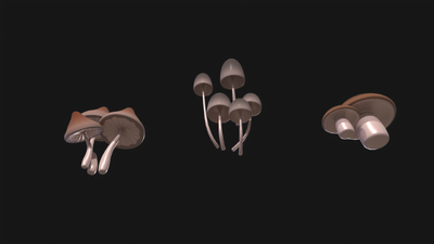 蘑菇 真菌模型-真菌模型库-3ds Max(.max)模型下载-cg模型网
