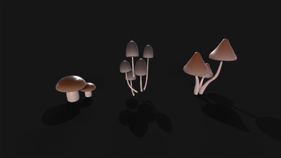 蘑菇 真菌模型-真菌模型库-3ds Max(.max)模型下载-cg模型网