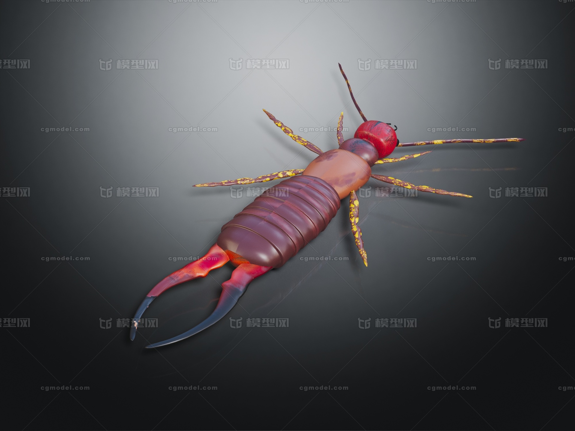 夹夹狗 蠼螋模型-昆虫模型库-3ds Max(.max)模型下载-cg模型网