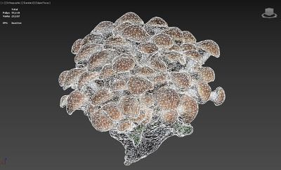 榛蘑 蘑菇模型-水果蔬菜模型库-3ds Max(.max)模型下载-cg模型网