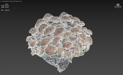 榛蘑 蘑菇模型-水果蔬菜模型库-3ds Max(.max)模型下载-cg模型网