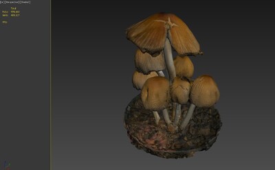 蘑菇 真菌模型-真菌模型库-3ds Max(.max)模型下载-cg模型网