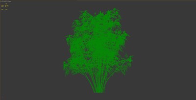 600帧植物生长动画-木芙蓉02模型-自然场景模型库-3ds Max(.max)模型下载-cg模型网