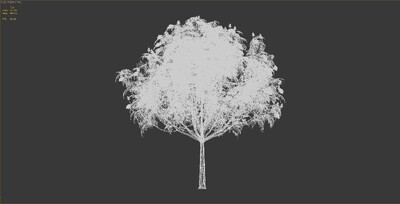 150帧无限循环风动植物-木芙蓉01模型-自然场景模型库-3ds Max(.max)模型下载-cg模型网