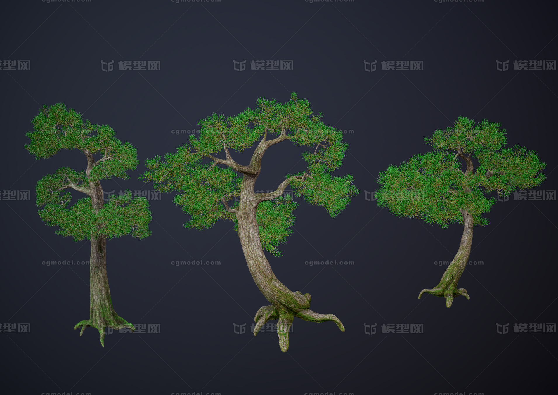 松树 大树模型-树木模型库-FBX(.fbx)模型下载-cg模型网