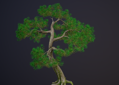 松树 大树模型-树木模型库-FBX(.fbx)模型下载-cg模型网