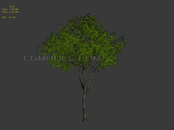 动态树 动态植物模型-自然场景模型库-3ds Max(.max)模型下载-cg模型网