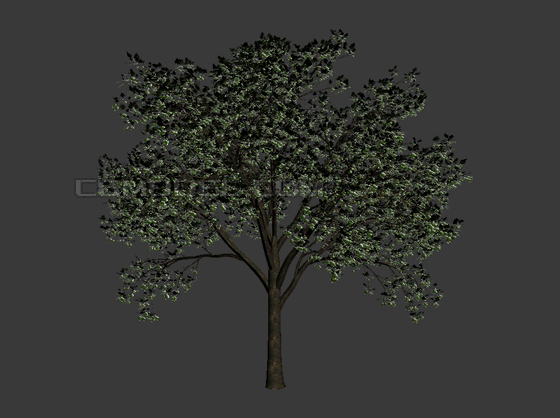 动态树 动态植物模型-自然场景模型库-3ds Max(.max)模型下载-cg模型网