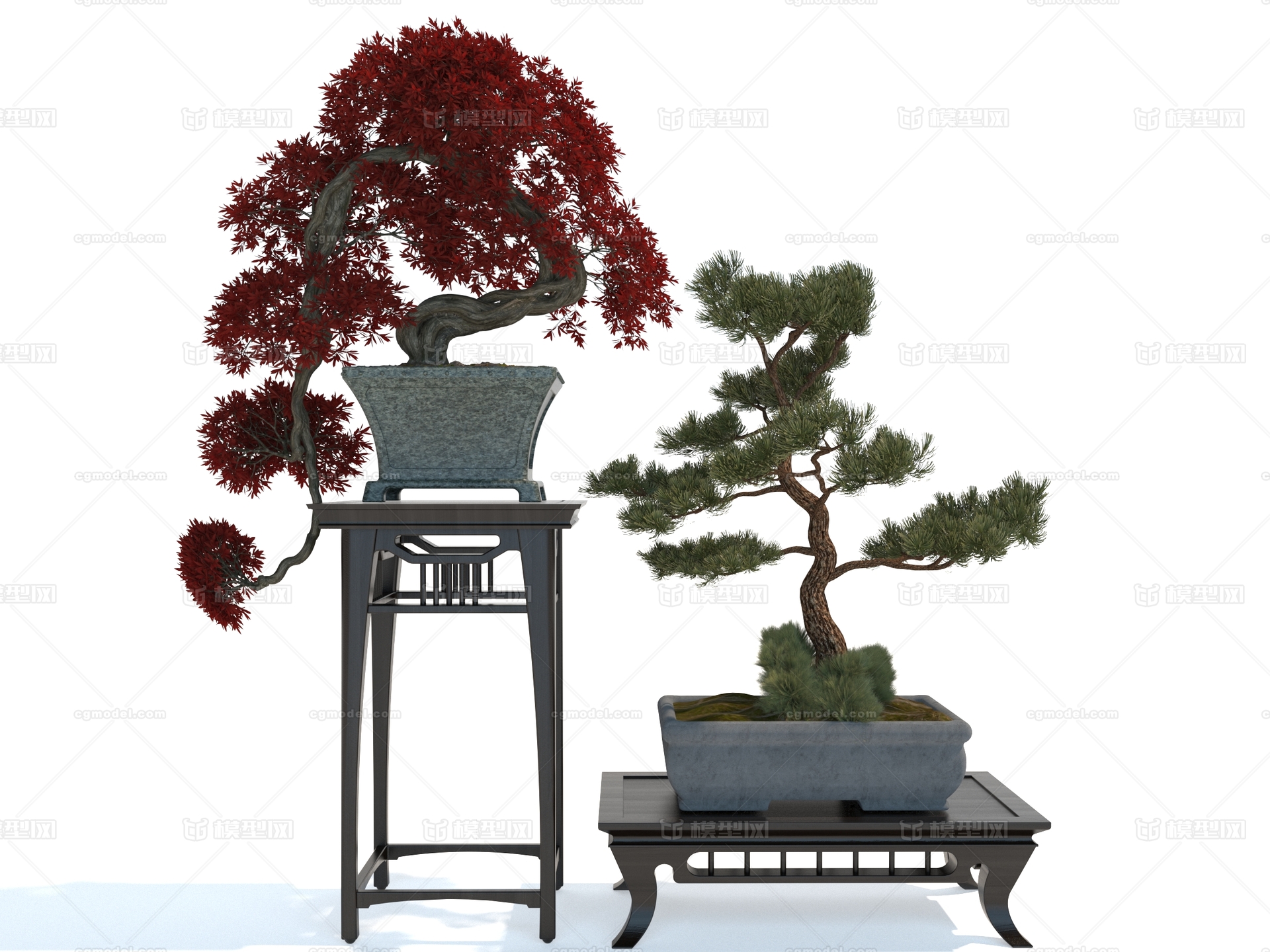 景观盆景松树模型-树木模型库-3ds Max(.max)模型下载-cg模型网