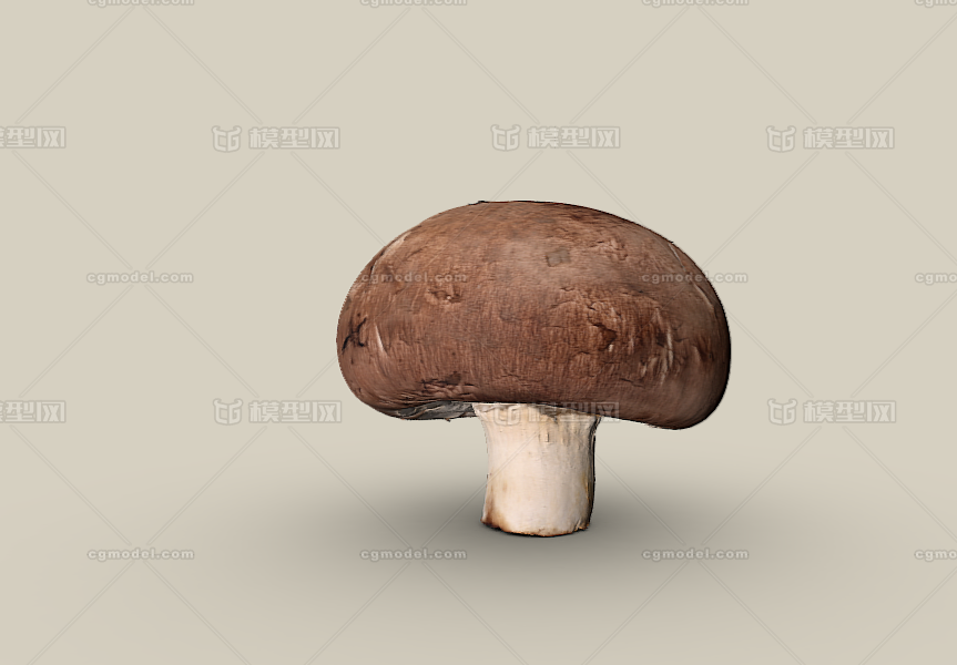香菇 蘑菇模型-水果蔬菜模型库-Blender(.blend)模型下载-cg模型网
