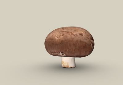 香菇 蘑菇模型-水果蔬菜模型库-Blender(.blend)模型下载-cg模型网