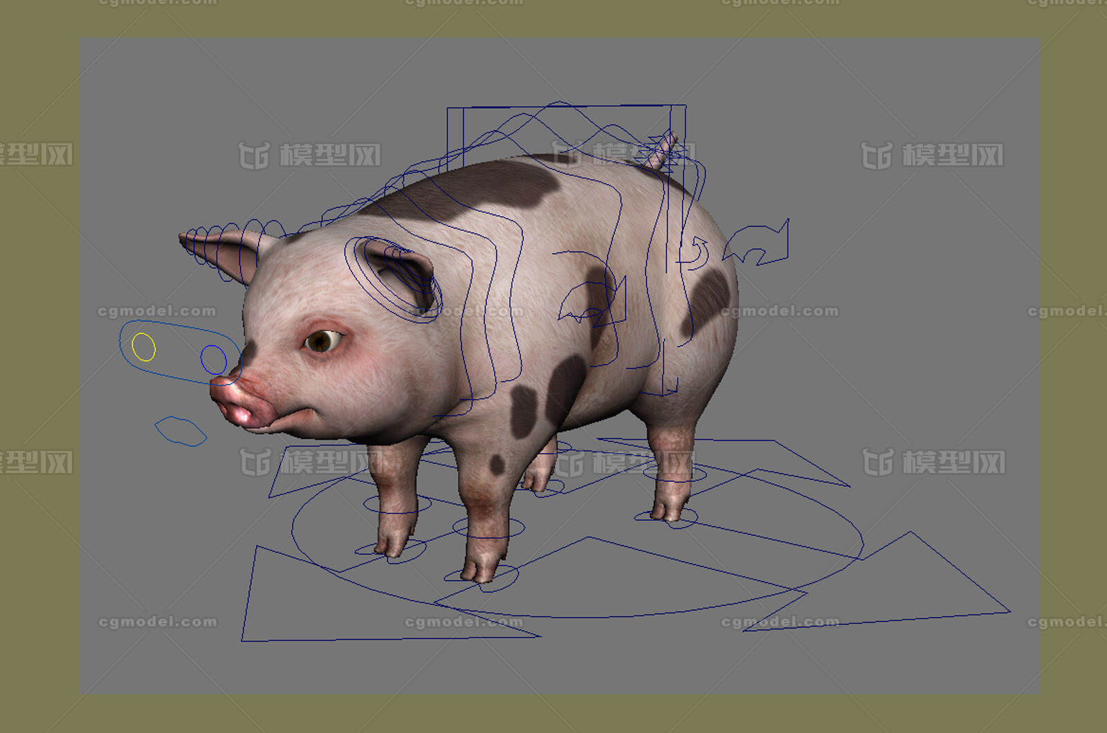 猪 家猪pig模型-哺乳模型库-Maya(.ma/.mb)模型下载-cg模型网