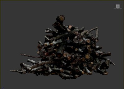 木材 树枝模型-树木模型库-3ds Max(.max)模型下载-cg模型网