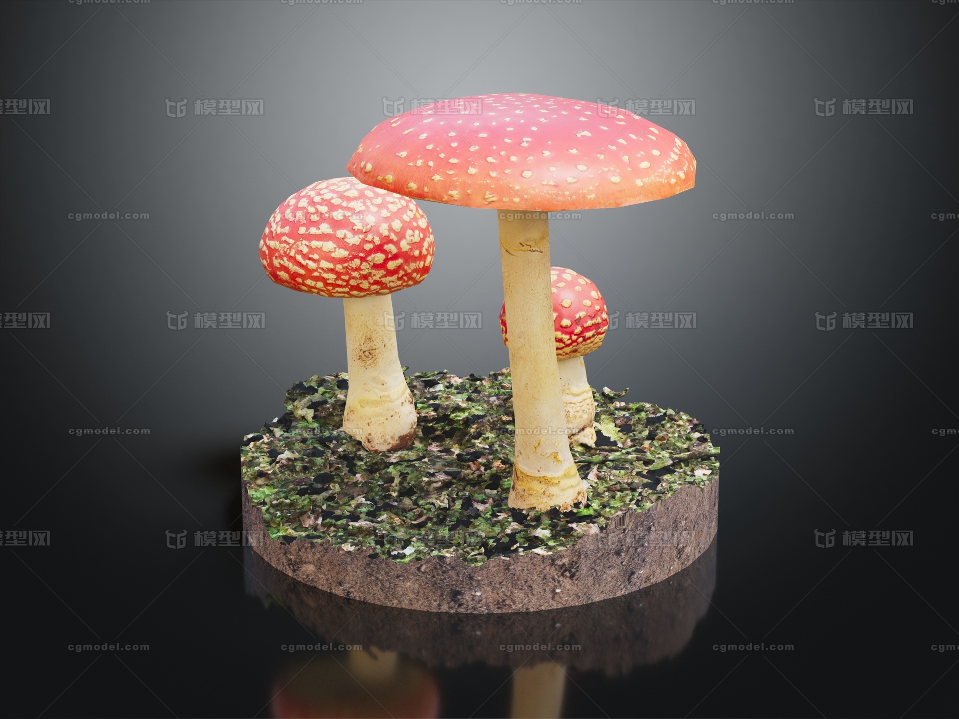 蘑菇 草菇模型-中药模型库-3ds Max(.max)模型下载-cg模型网