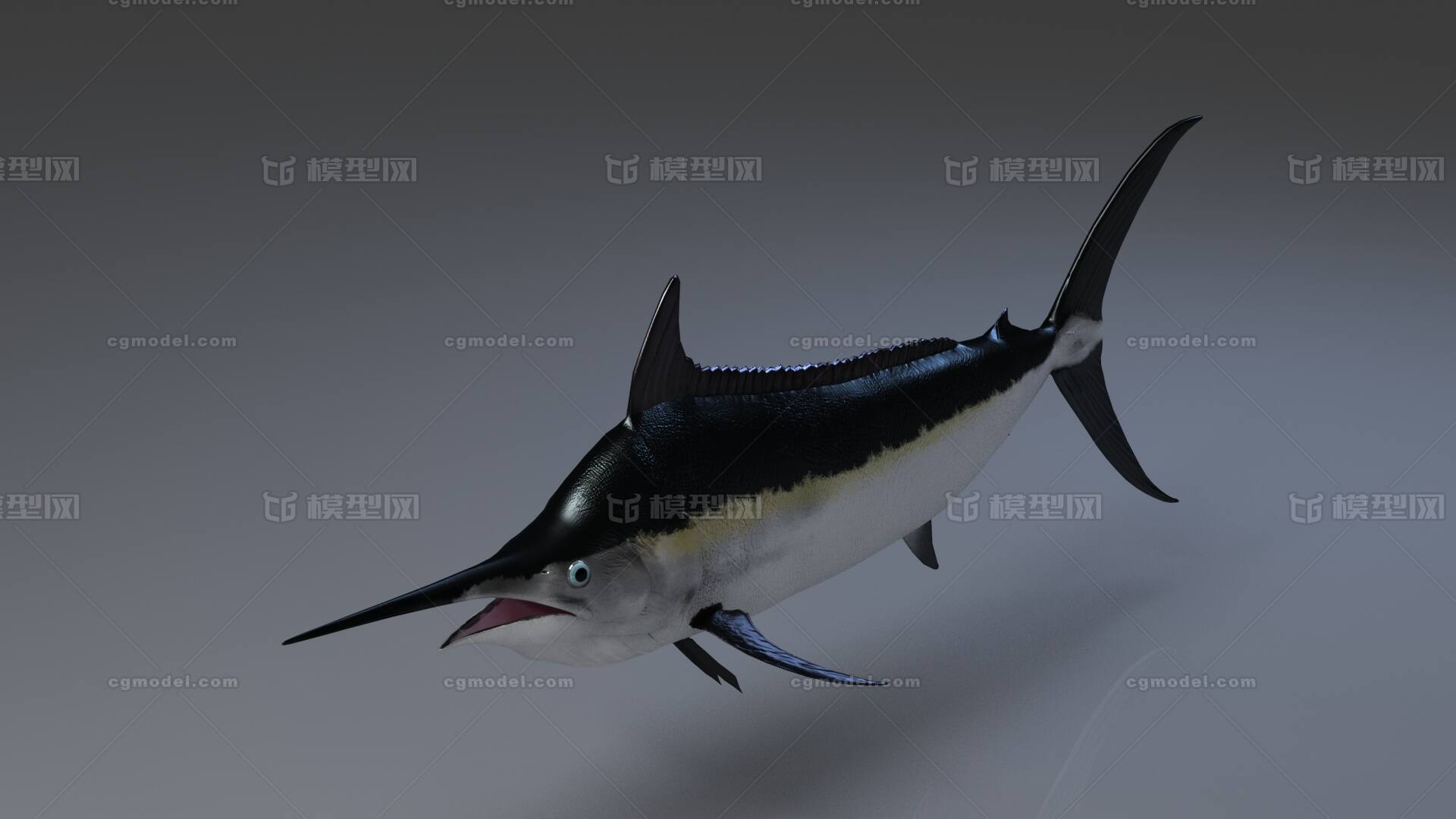Swordfish Wallpapers (59+ background pictures)