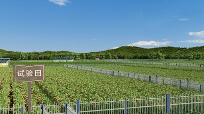 农科院试验田农田实验田农场农业水稻场景模型-现代场景模型库-3ds Max(.max)模型下载-cg模型网