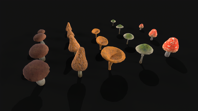卡通蘑菇 真菌模型-真菌模型库-3ds Max(.max)模型下载-cg模型网