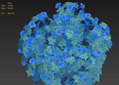 植物花卉---木芙蓉模型-花卉模型库-3ds Max(.max)模型下载-cg模型网