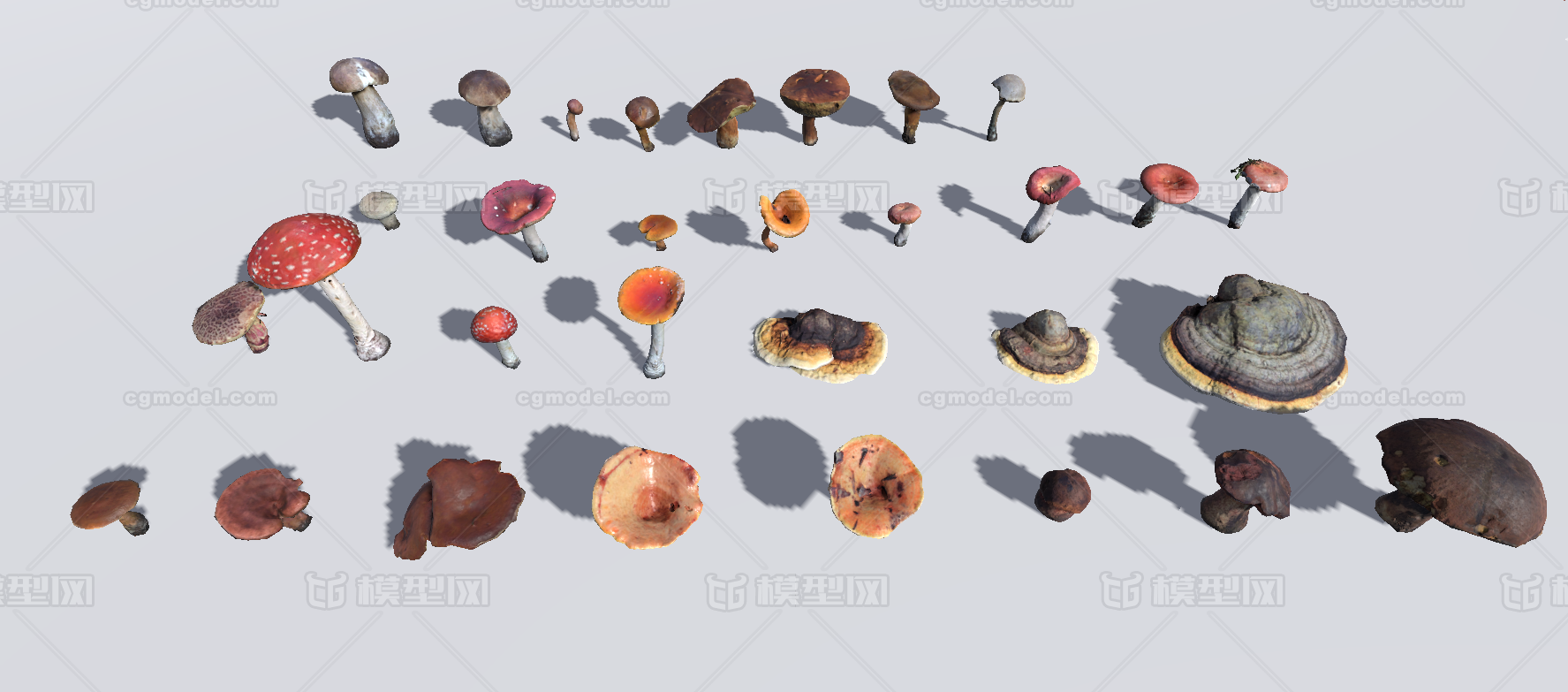 unity蘑菇资源 牛肝菌模型-水果蔬菜模型库-Unity模型下载-cg模型网
