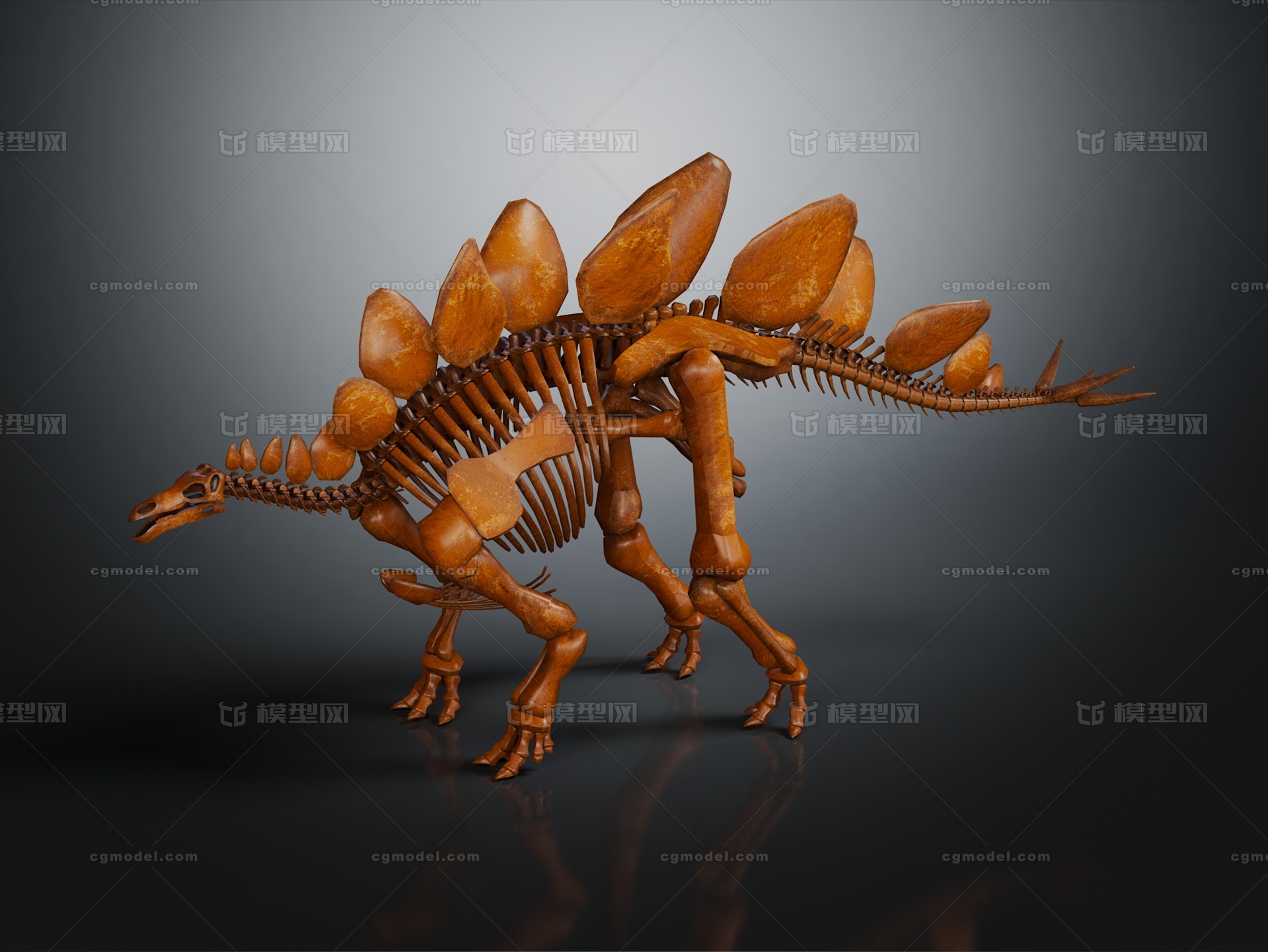 剑龙骨骼 剑龙骨架模型-恐龙模型库-3ds Max(.max)模型下载-cg模型网
