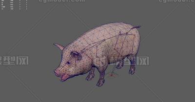 猪(带动画4K贴图)模型-哺乳模型库-3ds Max(.max)模型下载-cg模型网