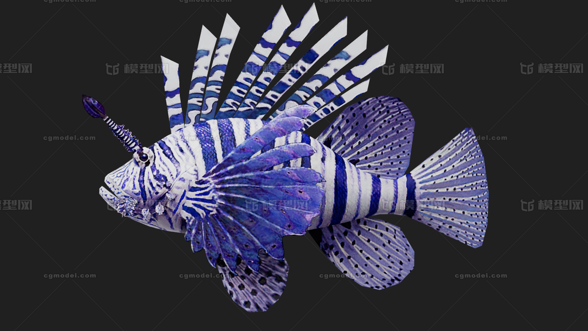 狮子鱼 蓑鲉模型-鱼类模型库-FBX(.fbx)模型下载-cg模型网