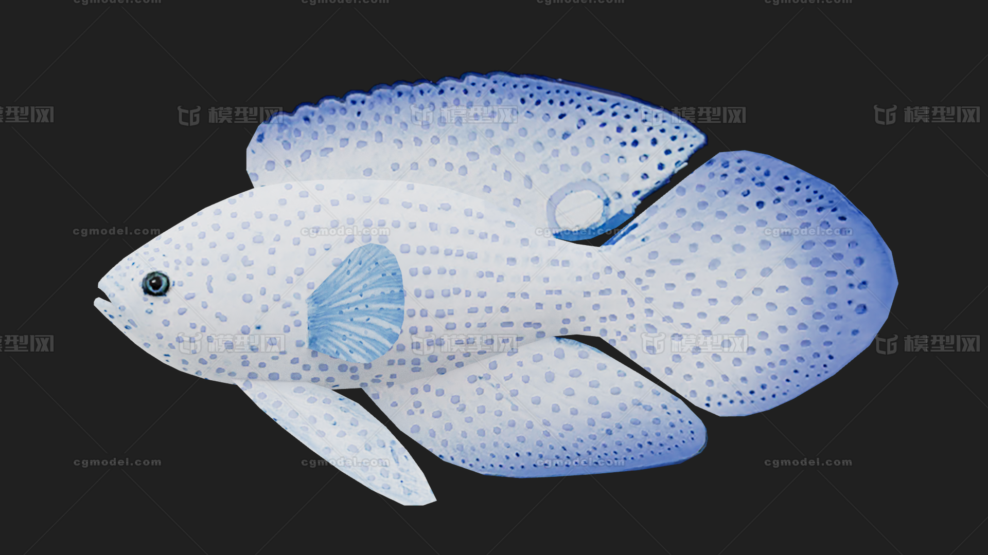 深海鱼 鱼模型-鱼类模型库-FBX(.fbx)模型下载-cg模型网