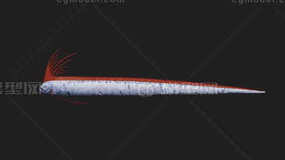 皇带鱼 桨鱼模型-鱼类模型库-FBX(.fbx)模型下载-cg模型网