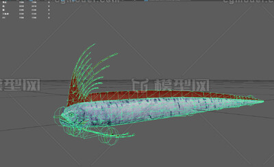 皇带鱼 桨鱼模型-鱼类模型库-FBX(.fbx)模型下载-cg模型网