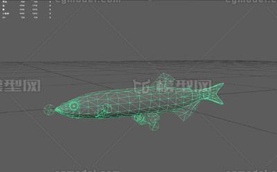 皇带鱼 桨鱼模型-鱼类模型库-FBX(.fbx)模型下载-cg模型网