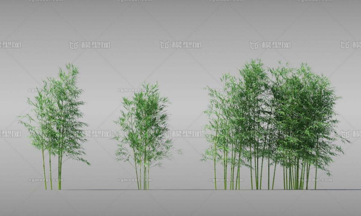 动树 会动的树木模型-树木模型库-3ds Max(.max)模型下载-cg模型网