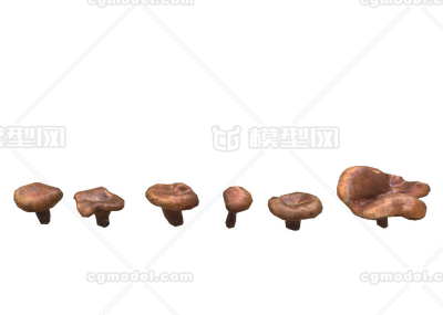 多种蘑菇 蘑菇模型-水果蔬菜模型库-Maya(.ma/.mb)模型下载-cg模型网