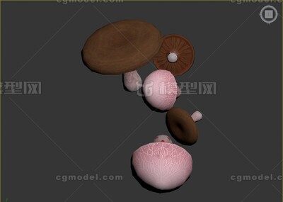 蘑菇 草菇模型-生鲜果蔬模型库-3ds Max(.max)模型下载-cg模型网