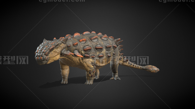 甲龙 恐龙模型-恐龙模型库-3ds Max(.max)模型下载-cg模型网