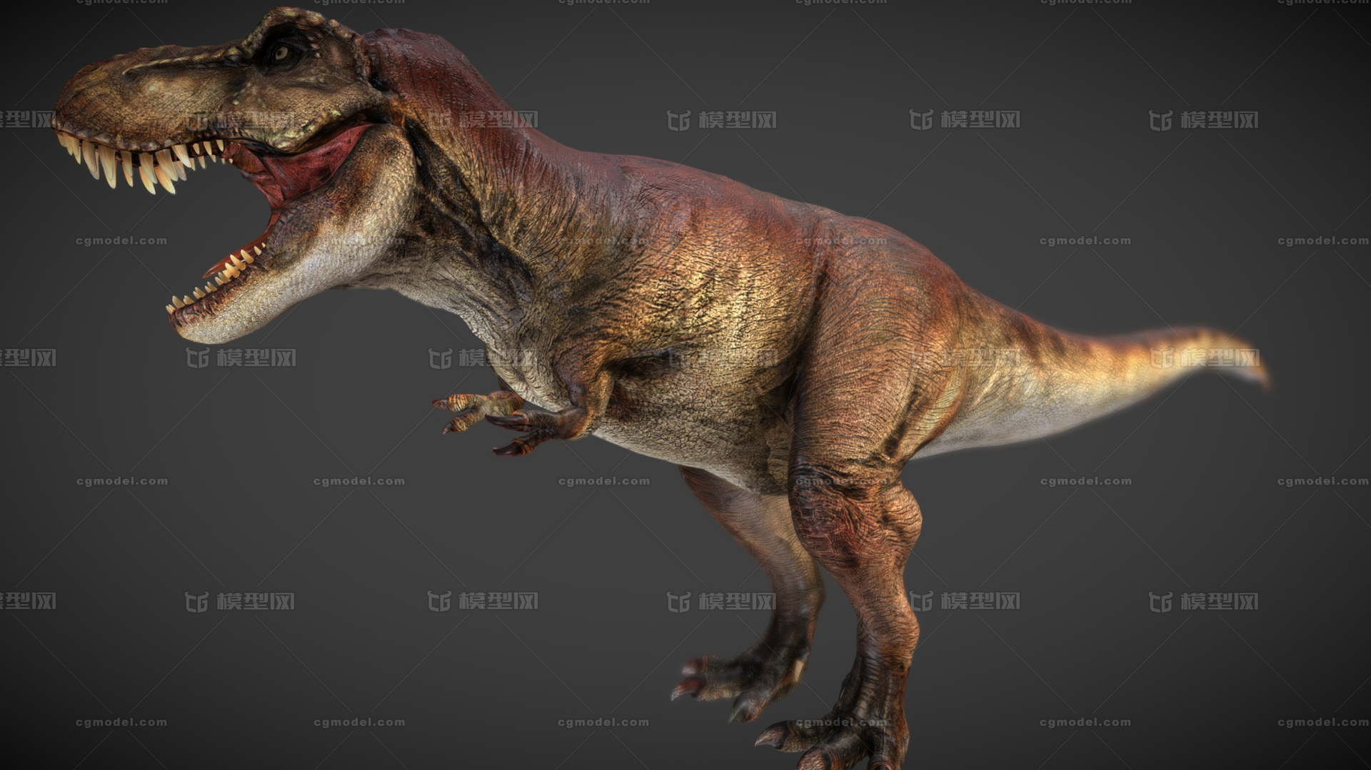 次世代PBR T-Rex模型-恐龙模型库-3ds Max(.max)模型下载-cg模型网