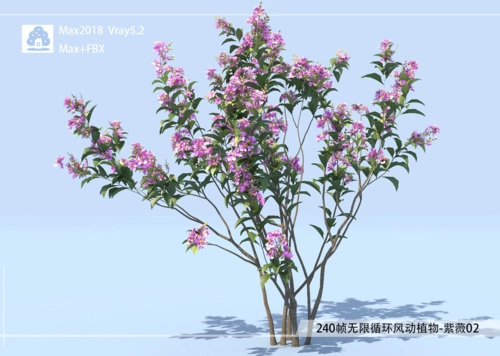 240帧无限循环风动植物-紫薇02模型-自然场景模型库-3ds Max(.max)模型下载-cg模型网