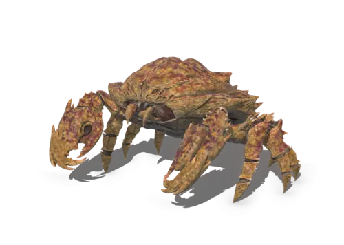 卡通 螃蟹 蝎子 蟾蜍 蛇 大蜈蚣 虫子 百足 毒蛇 毒蝎 