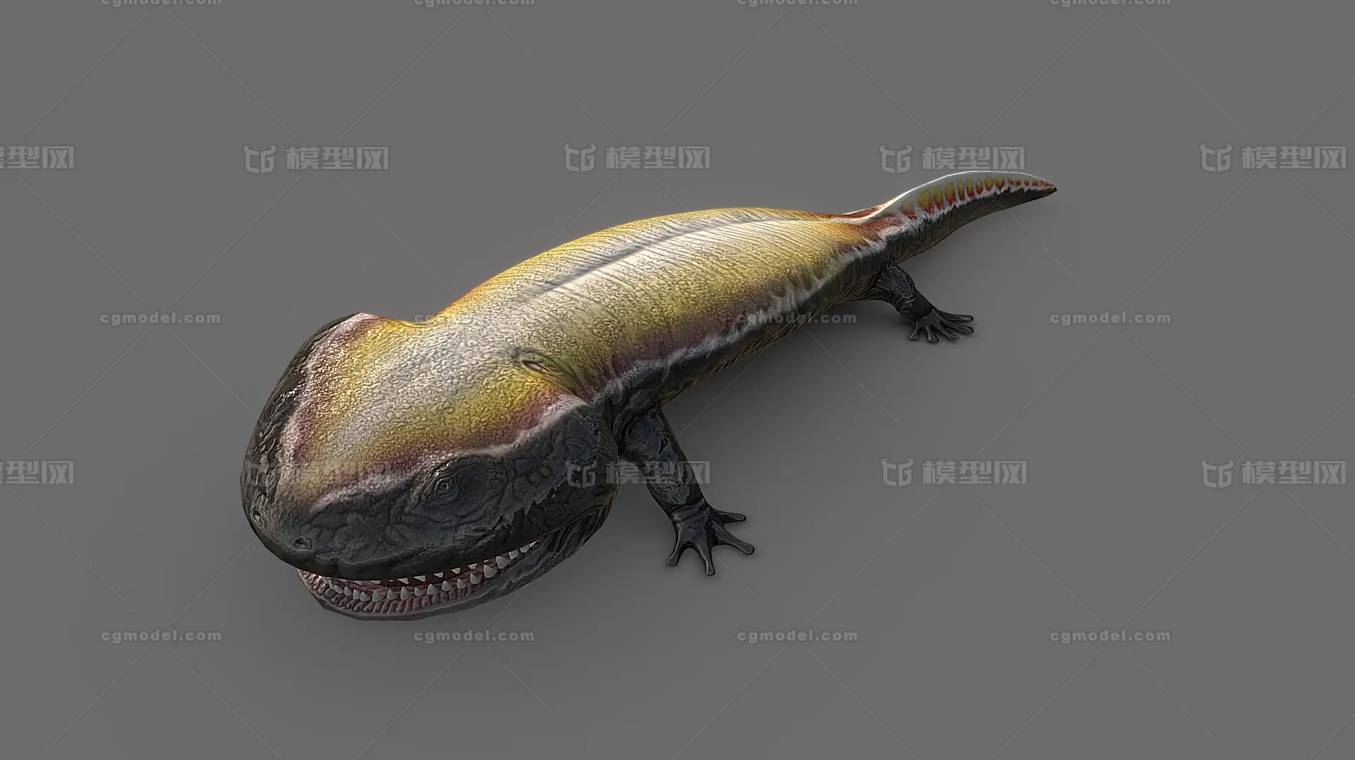 酷拉龙 白垩纪早期 两栖动物 蝾螈 娃娃鱼 远古动物